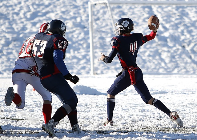 是一种对生 是一种对生