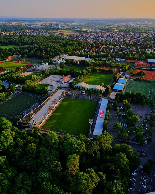 法律诉讼与 法律诉讼与