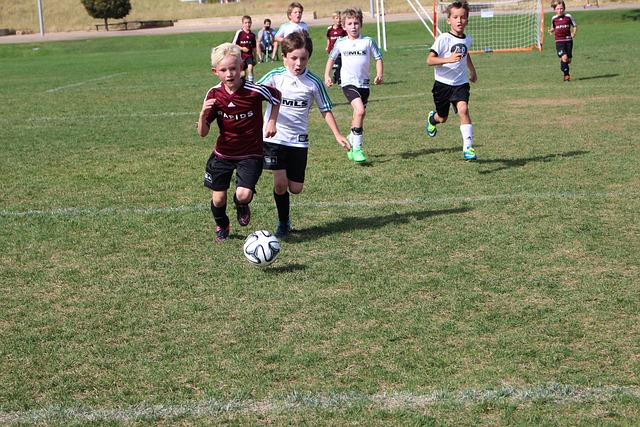 还将成为下 还将成为下