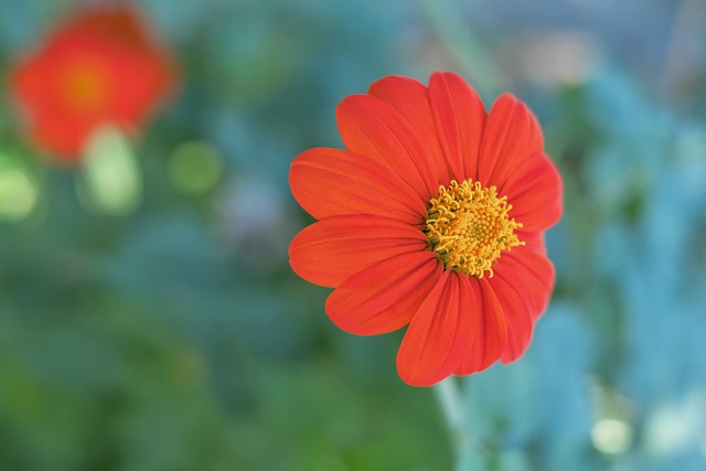 BA赛场上 BA赛场上