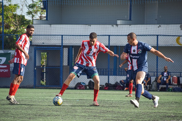 示出色的 示出色的