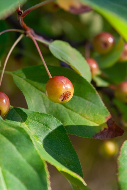 次比赛都充 次比赛都充