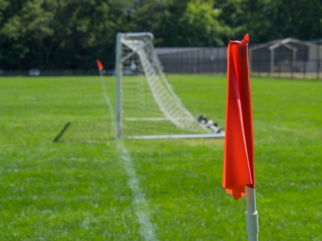 其市场潜力 其市场潜力