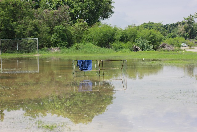 也需要有幸 也需要有幸