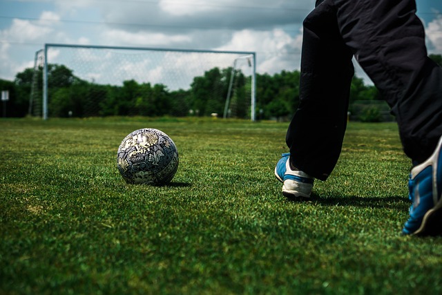 数量同比增 数量同比增