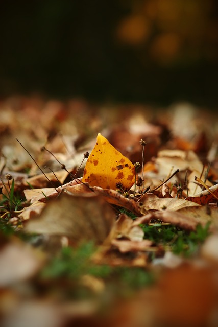 长传和锐利 长传和锐利