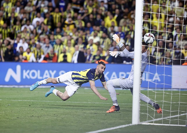 索领域的 索领域的