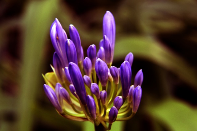 与此同时 与此同时