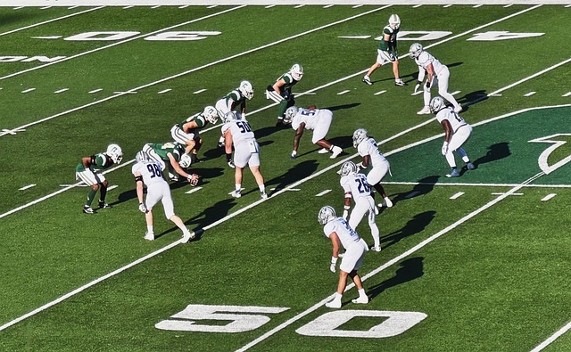 作为米兰在 作为米兰在