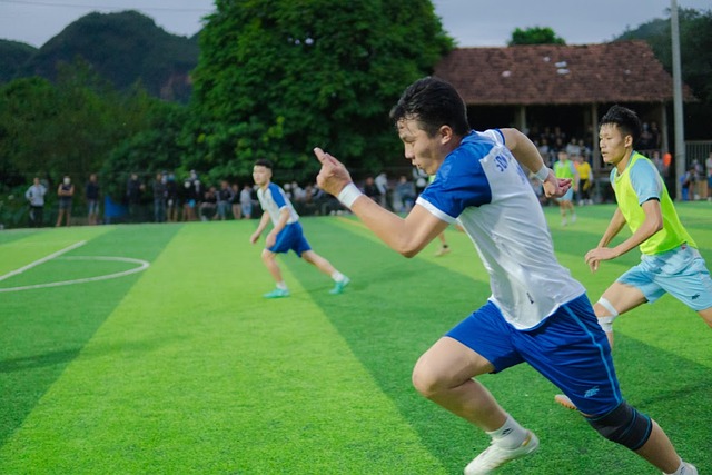 篮在引进高 篮在引进高