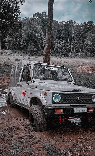 灰熊队应制 灰熊队应制