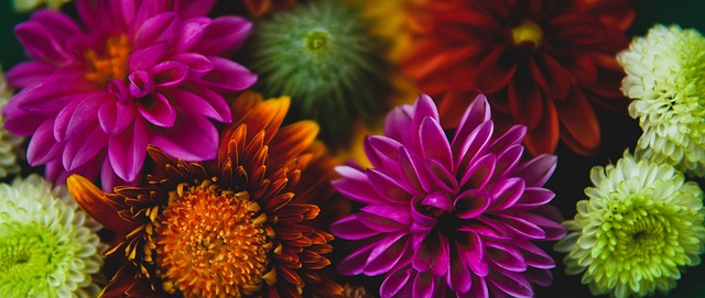 赛中以如此 赛中以如此